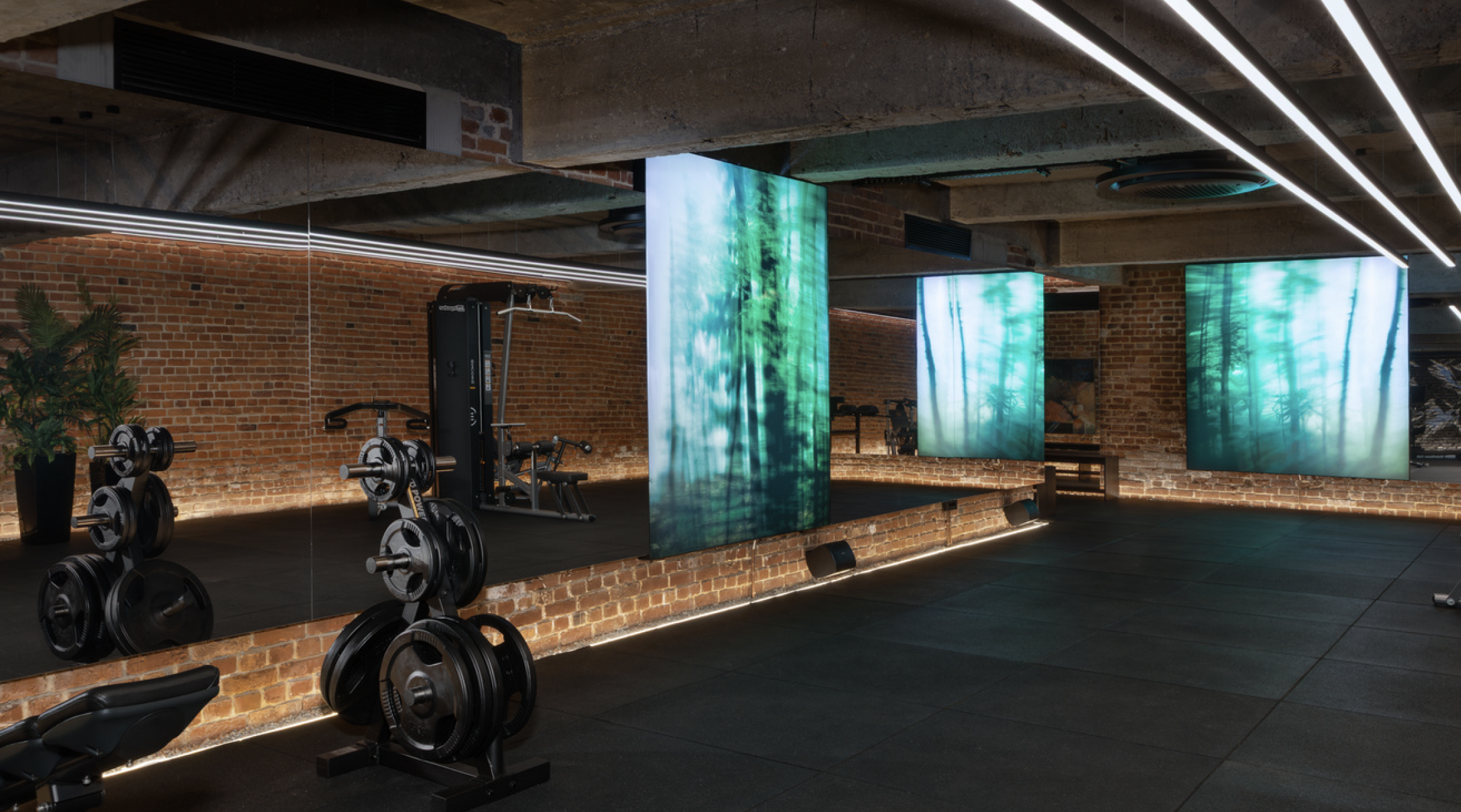 Screenshot 2025-07-03 at 22.43.10